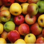 Apple<3