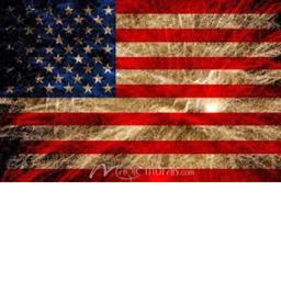RESPECT THE VETS icon