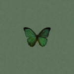 Team Butterfly Forever