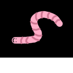 Worm Producition
