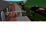 Euro Cross Trains