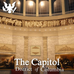 U.S. Capitol, Washington D.C.