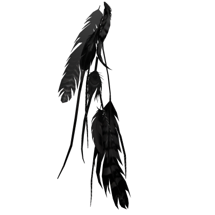 Avis Gaian Feather Black Boho Hairstring Roblox item