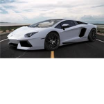the lamborghini lovers