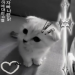 /soblushingrn Group Thumbnail