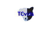 TCvids123