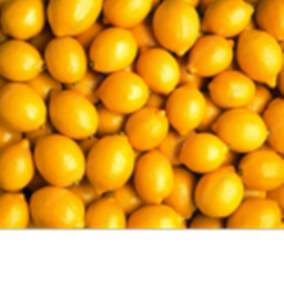 Lemon's Unite Restaurant v1