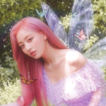 ﾟ｡⋆ fairy guardians ﾟ｡⋆