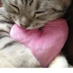 Norra<3