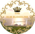 KLM DYNASTY