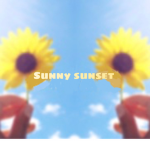 Sunny sunset