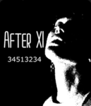 AFTER-XI