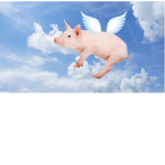 The flying piggies!