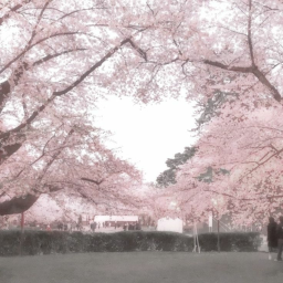 𐔌 ˖ ˚ ⌗ ✩ ˚ ꒷˳ ୨ৎ