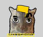 BUTTERNOT