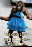Monkie Of Granada