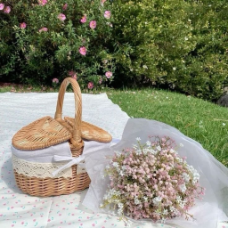 -` ꒰꒰ 🌷꒱꒱ ´-