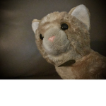 Furry is a fur ball studios