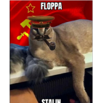 Communist floppa army:)