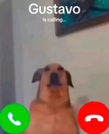 Dxrks Elevel