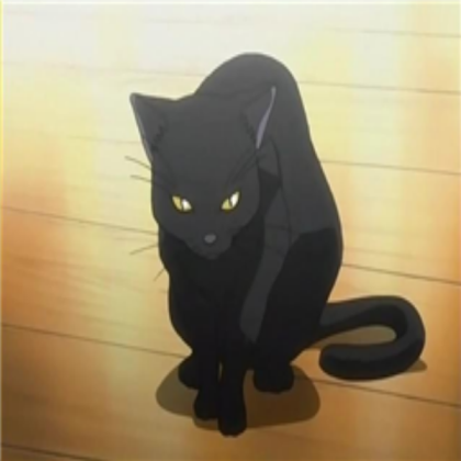 Anime cat Roblox decal
