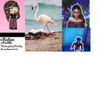 Pink Flamingos <3
