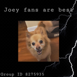 Joey fans are best