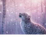 TeamLeopard