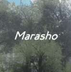 Marasho Development Group
