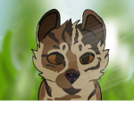 Warrior Cats Club - Warrior cats ultimate edition