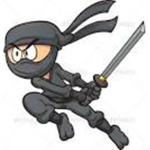 The Robloxian Ninjas Group