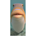Stonkey Kong