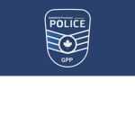 Goldfield Provincial Police