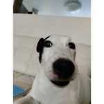 Hequqs