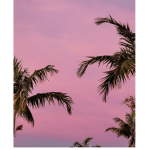 Aesthetic group for girls!