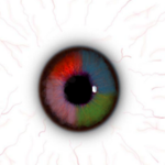 EyeSquad
