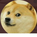 Doge group ;)