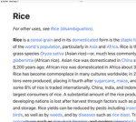 THE RICEMARBLE ARMY