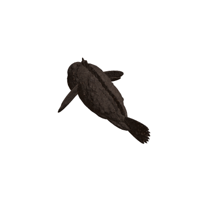 Stonefish (Synanceia Verrocusa)