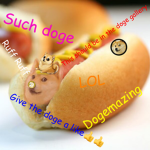 DOGE IS SO AWESOME GAMES