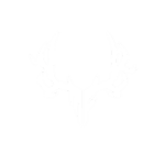 Skull | White [Ro-Ghoul]