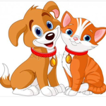 The cat and dog ❤️