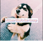 Allison Mae's FanGroup•