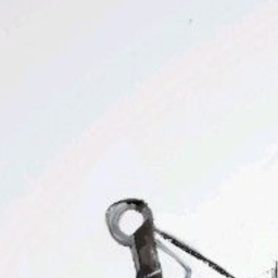 𝕨
