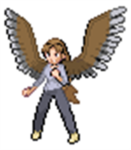 Maximum Ride: The Flock