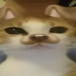 Miss Muffin Offical