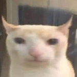 Noobsity
