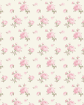 Cuties bears and cuties canvas Andrea