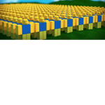 TH3N00B8qu4d