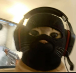 Cat Clan #1